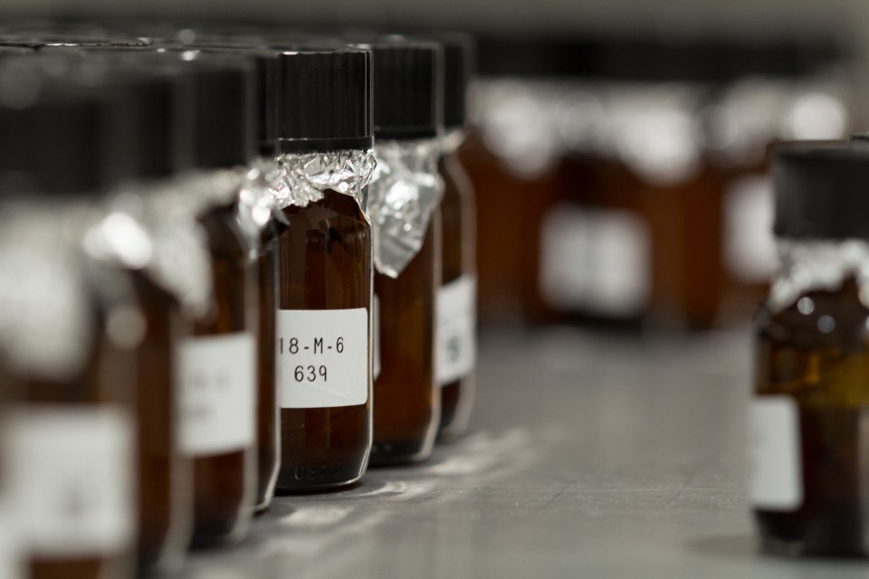 MPB_Opparbeiding av fisk_Max Lotternes-NIVA (9 of 20)