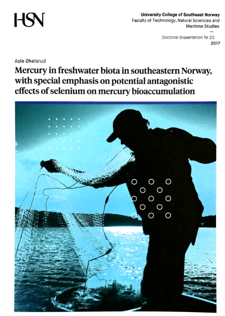 Asle PhD-fremside.PNG